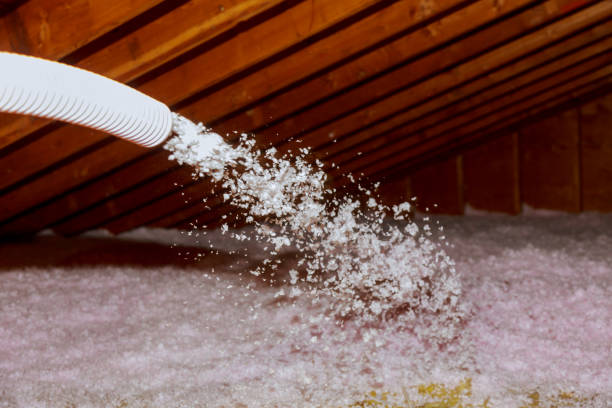 Best Specialty Insulation in Pagosa Springs, CO