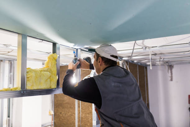 Best Insulation Installation Services in Pagosa Springs, CO